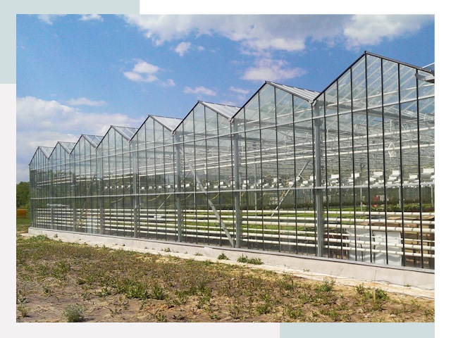 Строительство теплиц в Волхов от 628 руб. за м²